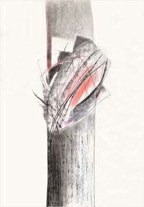 Prinzip Amaryllis, 2017, Graphit, Farbstift auf Papier, 100 x 70 cm