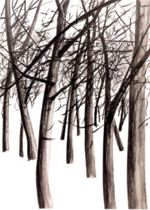 Bäume im Winter Graphit auf Papier